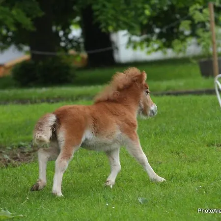 Du Centaure 度假居 *
